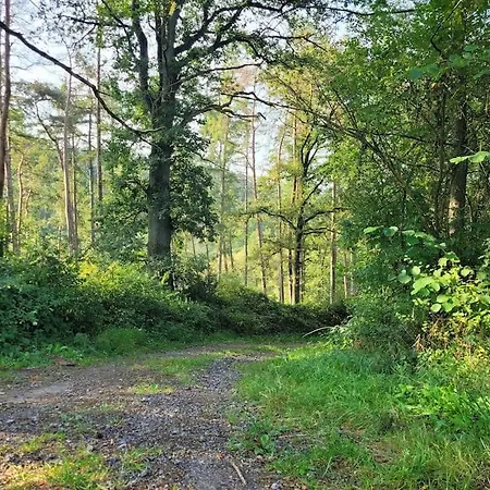 Hébergement de vacances Gite Les Trois Glycines Ardennes Winenne