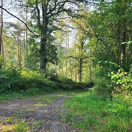 Holiday home Gite Les Trois Glycines Ardennes Winenne
