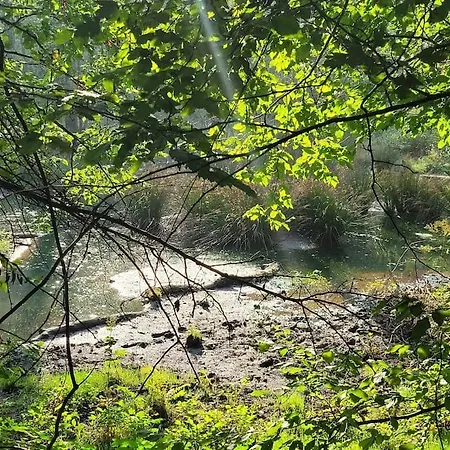 Gite Les Trois Glycines Ardennes Hébergement de vacances *