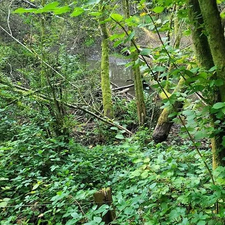 Gite Les Trois Glycines Ardennes Hébergement de vacances