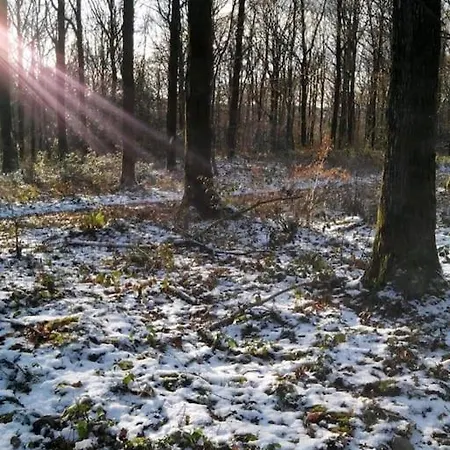 Gite Les Trois Glycines Ardennes *